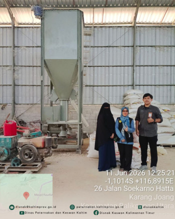 DPKH Pastikan Penyaluran SPHP Jagung Berjalan Efektif di Balikpapan, Samarinda, dan Kukar