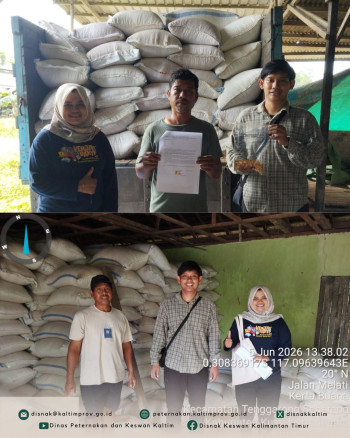 DPKH Pastikan Penyaluran SPHP Jagung Berjalan Efektif di Balikpapan, Samarinda, dan Kukar
