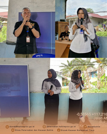 Jelang Bulan Bakti, DPKH Kaltim Gelar Edukasi Pencegahan Penyakit Ternak Babi di Samarinda