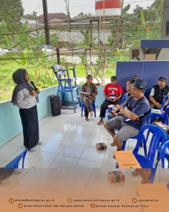 Jelang Bulan Bakti, DPKH Kaltim Gelar Edukasi Pencegahan Penyakit Ternak Babi di Samarinda