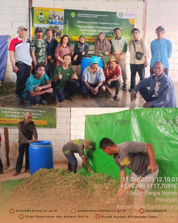 Perkuat Program PDKT, DPKH adakan Bimtek Pengolahan Pakan Lokal untuk Produktivitas Ternak
