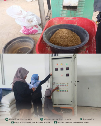 Pengawasan Mutu Pakan dan Pendampingan CPPB Dorong Pengembangan Rumah Produksi Pakan Ternak Desa Loleng