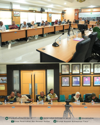 FGD Dinamika Bisnis Kambing dan Domba: DPKH Dorong Pengembangan Produksi Lokal