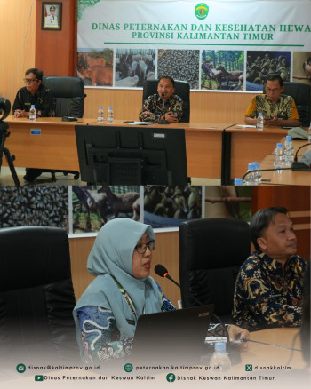 FGD Dinamika Bisnis Kambing dan Domba: DPKH Dorong Pengembangan Produksi Lokal