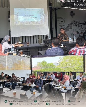 DPKH Lakukan Pendataan dan Bimtek Manajemen Pemeliharaan Babi kepada Peternak Milenial Balikpapan