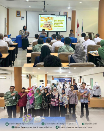DPKH Kaltim dan RSJD Atma Husada Mahakam Bekali Pasien Rehabilitasi Keterampilan Beternak Ayam Petelur