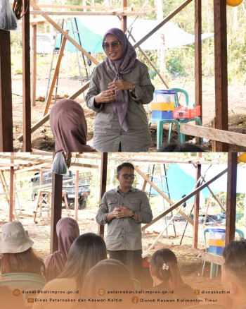 DPKH Kaltim Tinjau Lokasi Pengembangan Desa Korporasi Ternak (PDKT) di Kutai Barat