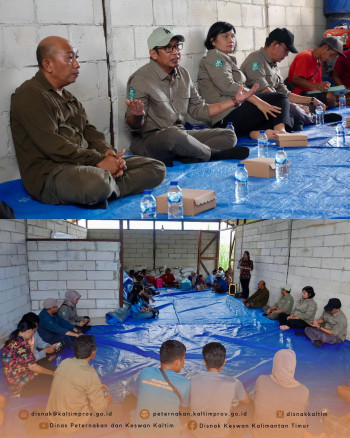 DPKH Kaltim Tinjau Lokasi Pengembangan Desa Korporasi Ternak (PDKT) di Kutai Barat