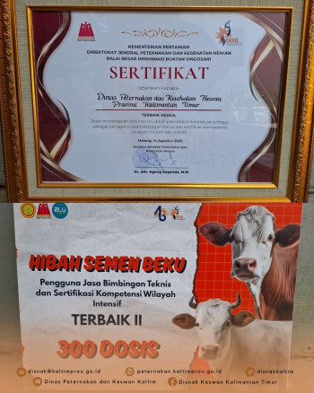 BBIB Awards 2025: DPKH Kaltim Raih Penghargaan Terbaik II