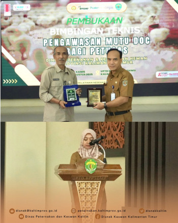 Pengawasan Mutu Day Old Chicken (DOC) Diperkuat, DPKH Kaltim Gelar Pelatihan Teknis Selama 3 Hari