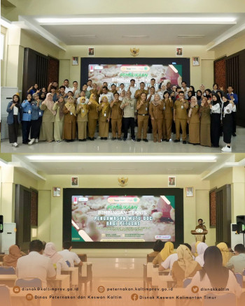 Pengawasan Mutu Day Old Chicken (DOC) Diperkuat, DPKH Kaltim Gelar Pelatihan Teknis Selama 3 Hari