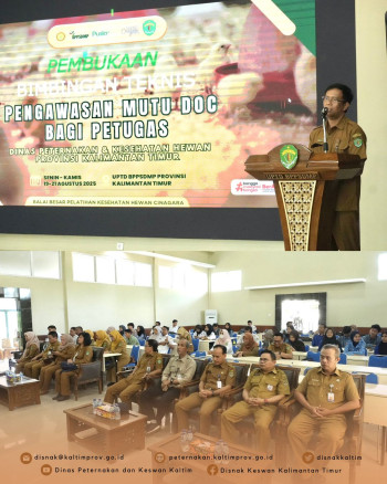 Pengawasan Mutu Day Old Chicken (DOC) Diperkuat, DPKH Kaltim Gelar Pelatihan Teknis Selama 3 Hari