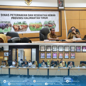 Sosialisasi Penyusunan Rencana Strategis Peternakan & Keswan Tahun 2025 - 2029