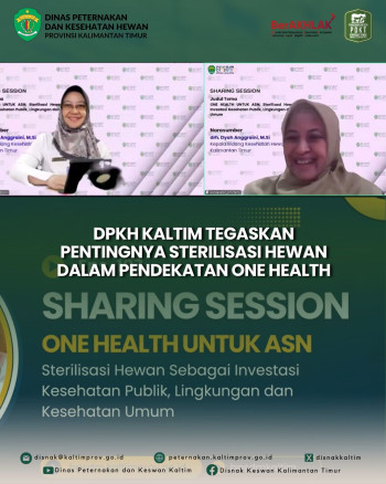 DPKH Kaltim Tegaskan Pentingnya Sterilisasi Hewan dalam Pendekatan One Health