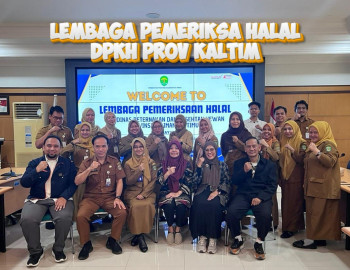 Info Grafis