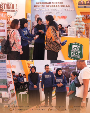 Kaltim Fair 2025 Hari Kedua DPKH Kaltim Lakukan Demo Pengujian Lab dan Edukasi Inseminasi Buatan