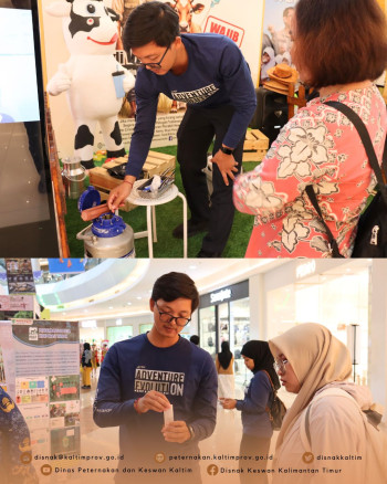 Kaltim Fair 2025 Hari Kedua DPKH Kaltim Lakukan Demo Pengujian Lab dan Edukasi Inseminasi Buatan