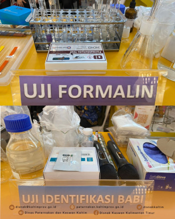 Kaltim Fair 2025 Hari Kedua DPKH Kaltim Lakukan Demo Pengujian Lab dan Edukasi Inseminasi Buatan