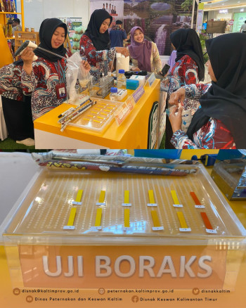 Kaltim Fair 2025 Hari Kedua DPKH Kaltim Lakukan Demo Pengujian Lab dan Edukasi Inseminasi Buatan