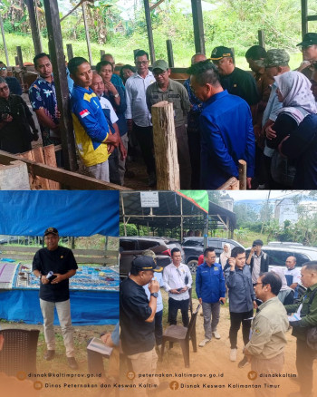 DPKH Kaltim Dampingi Kunjungan Kerja Pansus DPRD Kaltim ke Lokasi Pengembangan Desa Korporasi Ternak (PDKT) di Kab. Kukar