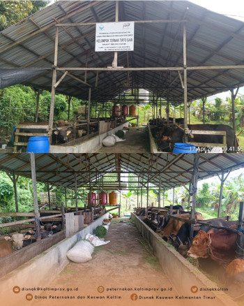 DPKH Kaltim Dampingi Kunjungan Kerja Pansus DPRD Kaltim ke Lokasi Pengembangan Desa Korporasi Ternak (PDKT) di Kab. Kukar