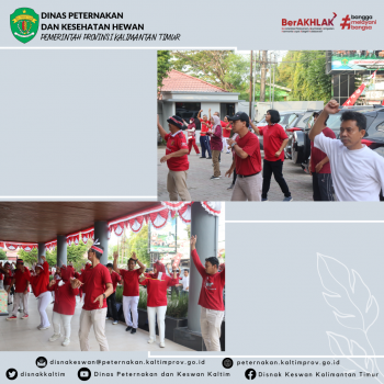 DPKH Prov. Kaltim Menyelenggarakan Jalan Santai Dalam Rangka Memeriahkan HUT Ke 78 Republik Indonesia.