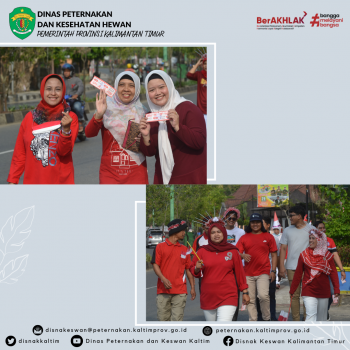 DPKH Prov. Kaltim Menyelenggarakan Jalan Santai Dalam Rangka Memeriahkan HUT Ke 78 Republik Indonesia.