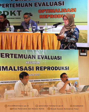DPKH Kaltim Gelar Evaluasi Program PDKT 2024-2025 dan Optimalisasi Reproduksi
