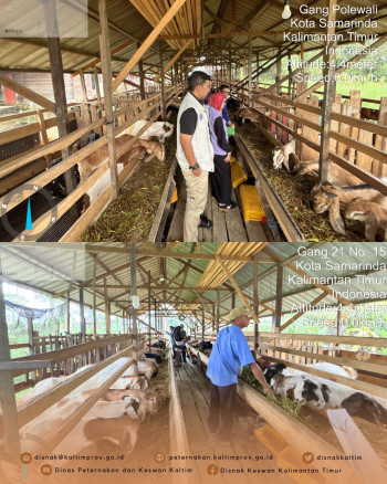 Pembekalan KIE Zoonosis & Kesejahteraan Hewan Untuk Koperasi PDKT di Sungai Kunjang Samarinda