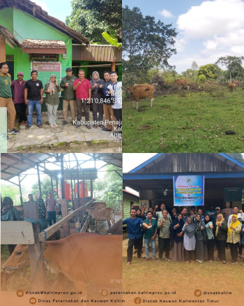 Lomba Kelompok Ternak Berprestasi & PDKT Terbaik Tingkat Provinsi Kaltim Tahun 2025