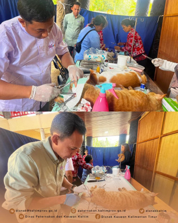 Layanan Kastrasi Kucing di Pekan Daerah XI Kaltim, Upaya Kontrol Populasi Hewan Penular Rabies (HPR)