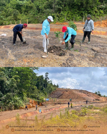 DPKH Kaltim Menanam 100 Bibit Pohon Dalam Rangka Mendukung Indonesia Hijau