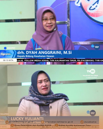 DPKH Soroti Solusi Overpopulasi Hewan Terlantar Dalam Program 