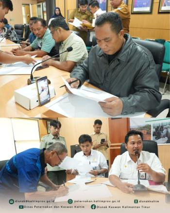 13 Ekor Sapi Bantuan Masyarakat Presiden RI untuk Kaltim Masuki Penyelasaian Tahap Administrasi