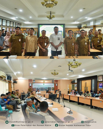 13 Ekor Sapi Bantuan Masyarakat Presiden RI untuk Kaltim Masuki Penyelasaian Tahap Administrasi