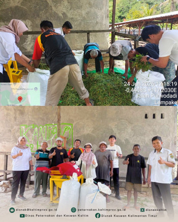 Peternak PDKT Samarinda Dibekali Keterampilan Membuat Silase untuk Ketahanan Pakan