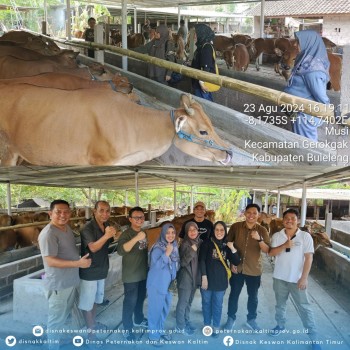 Supervisi Pengadaan Ternak Sapi Bali Sebagai Upaya Mendukung Pogram PDKT