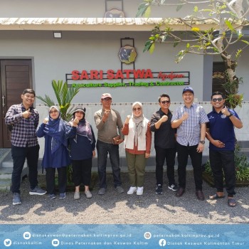 Supervisi Pengadaan Ternak Sapi Bali Sebagai Upaya Mendukung Pogram PDKT