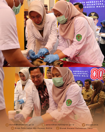 Pembukaan Kaltim Expo 2025 : DPKH Hadirkan Edukasi, Layanan, dan Produk Peternakan