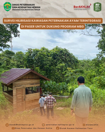 Survei Hilirisasi Kawasan Peternakan Ayam Terintegrasi di Paser Untuk Dukung Program MBG