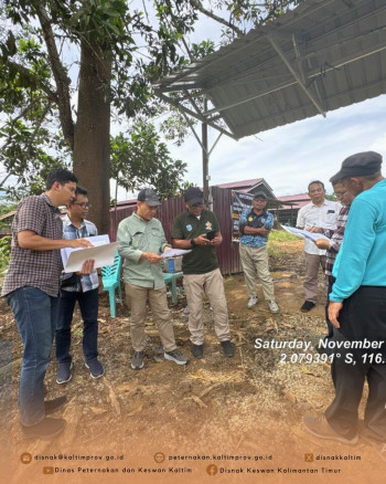 Survei Hilirisasi Kawasan Peternakan Ayam Terintegrasi di Paser Untuk Dukung Program MBG