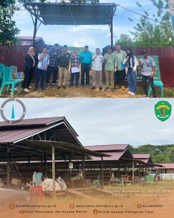 Survei Hilirisasi Kawasan Peternakan Ayam Terintegrasi di Paser Untuk Dukung Program MBG