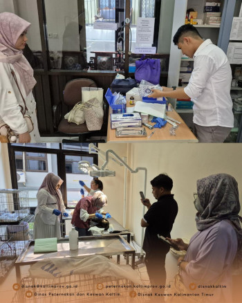 Peringati Hari Dokter Hewan Sedunia, Sterilisasi Kucing Liar Dilakukan di Klinik Hewan Samarinda DPKH