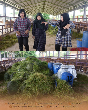 Dharma Wanita Persatuan (DWP) DPKH Kaltim Lakukan Kunjungan Kerja Ke UPTD PTHPT di Kabupaten PPU