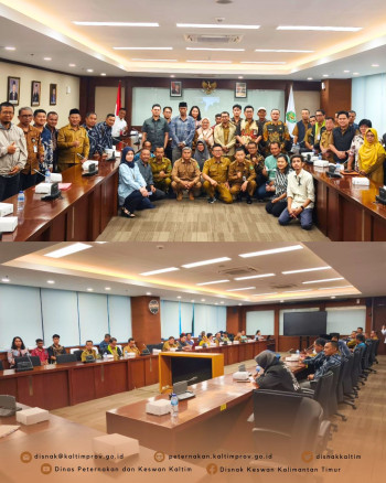 DPKH Kaltim Kawal Administrasi Sapi Bantuan Presiden : 13 Ekor Untuk Kaltim dan Ibu Kota Nusantara
