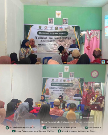 Sosialisasi Budidaya Maggot Tingkatkan Pemanfaatan Limbah Organik Bernilai Ekonomis