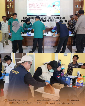 Kastrasi Hewan Penular Rabies di Pulau Derawan Dalam Rangka World Rabies Day Tahun 2025