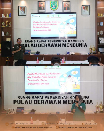 Kastrasi Hewan Penular Rabies di Pulau Derawan Dalam Rangka World Rabies Day Tahun 2025