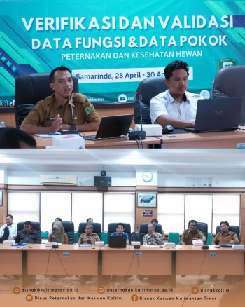 Data Berkualitas, Kebijakan Tepat: DPKH Kaltim Lakukan Verval Data Peternakan dan Kesehatan Hewan 2025