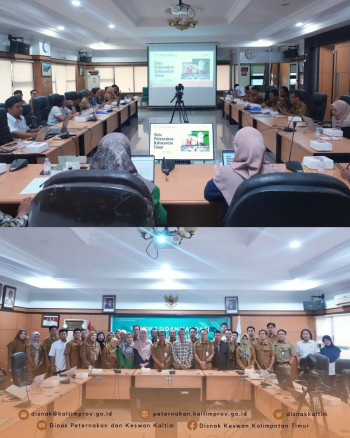 Data Berkualitas, Kebijakan Tepat: DPKH Kaltim Lakukan Verval Data Peternakan dan Kesehatan Hewan 2025